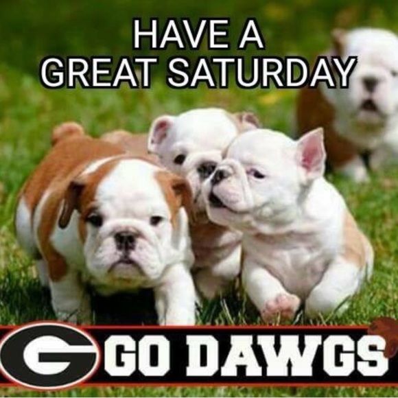 College Football Gameday Outfits Dorm Decor College Essentials Back to School - Picture 4 of 16